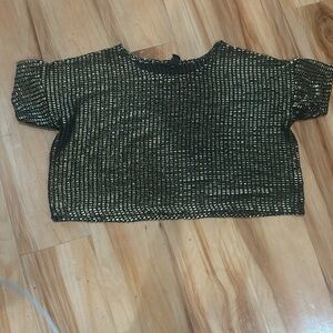 H&M Gold Sequin Striped Crop Top